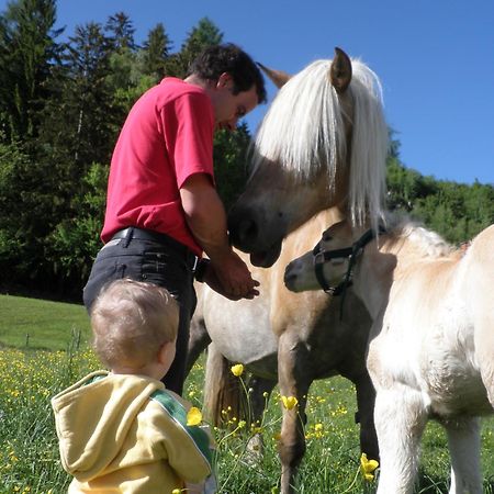 Ferienhaus "Zur Alten Schmiede" Mariahof Bagian luar foto