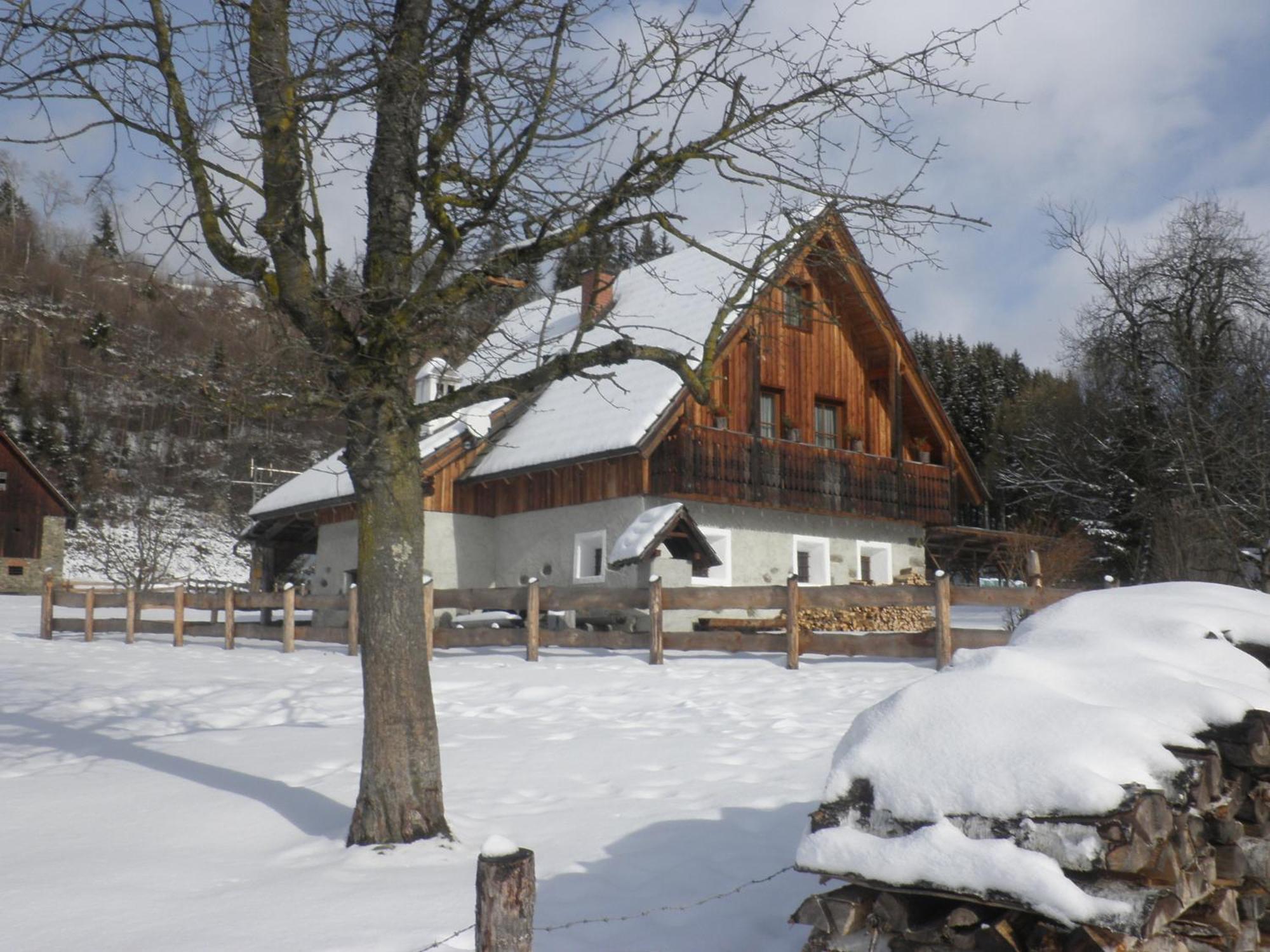 Ferienhaus "Zur Alten Schmiede" Mariahof Bagian luar foto