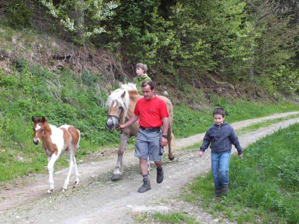 Ferienhaus "Zur Alten Schmiede" Mariahof Bagian luar foto