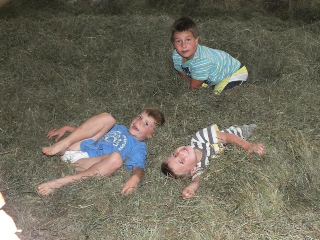 Ferienhaus "Zur Alten Schmiede" Mariahof Bagian luar foto